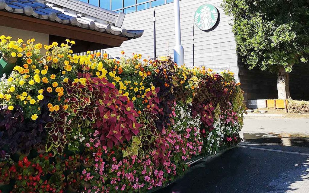 浜松城公園の駐車場フェンスの屋外壁面緑化 株 マラナタ 壁面緑化プランター 緑で日々に息を吹き込む 株式会社マラナタ 浜松市の壁面緑化 プランター