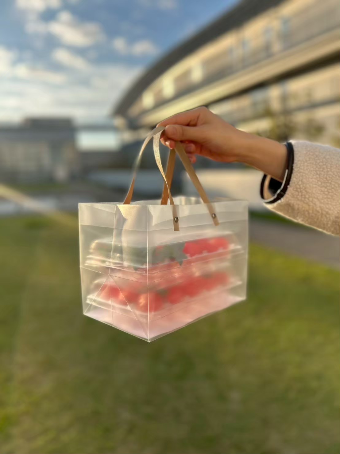 半透明手提げ袋 - 画像 (2)