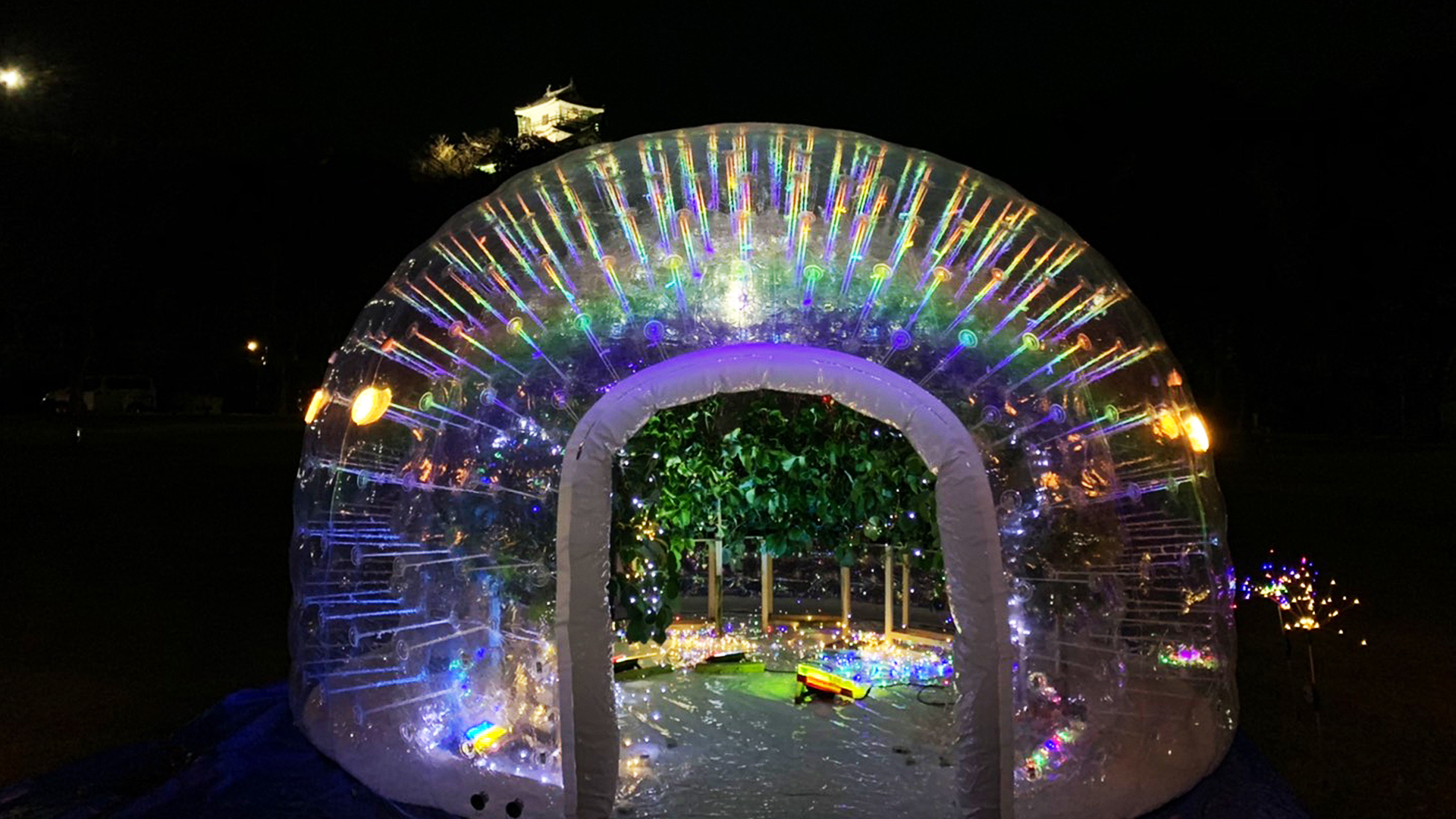浜松パイフォトニクスとマラナタの共同ライトアップの画像