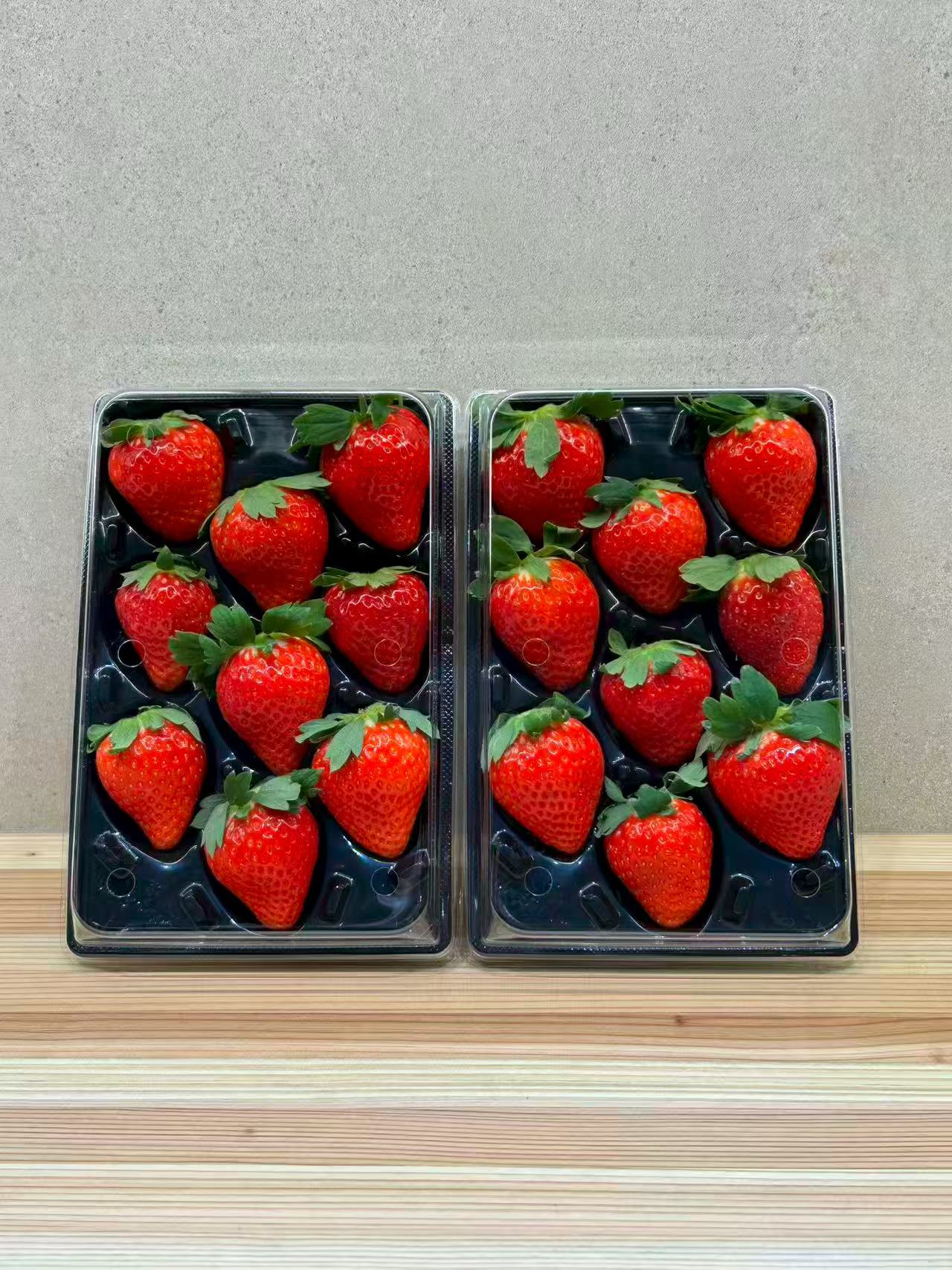 無重力トレー【ブラック】 - 画像 (3)