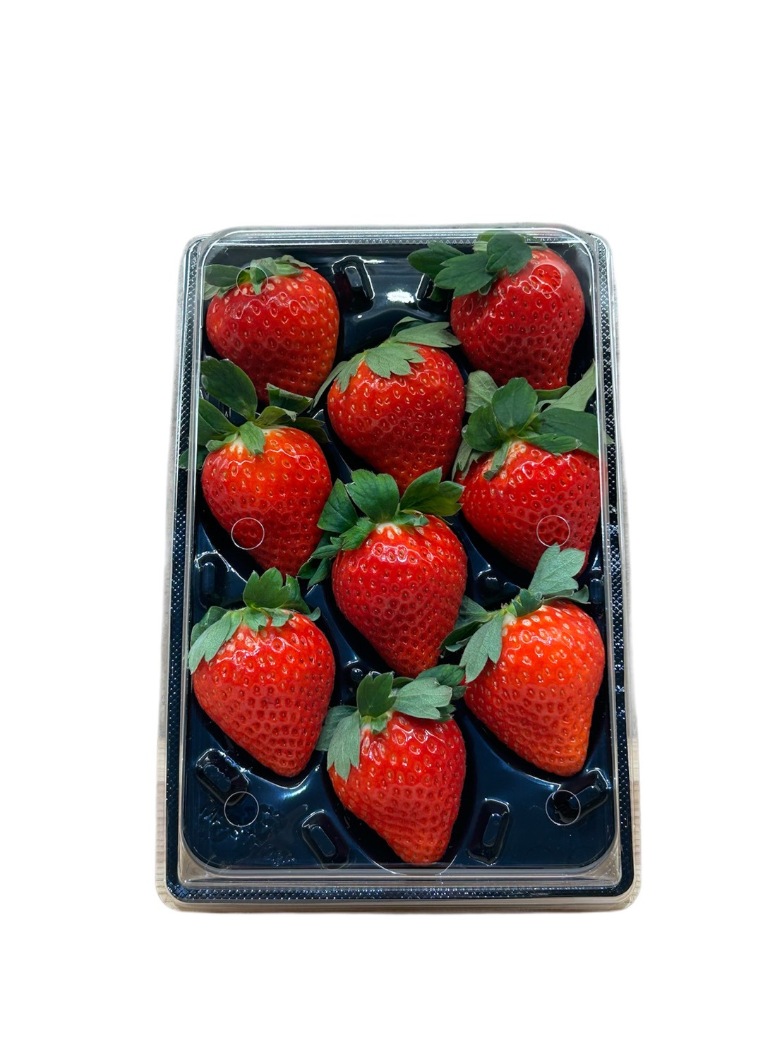 無重力トレー【ブラック】 - 画像 (5)